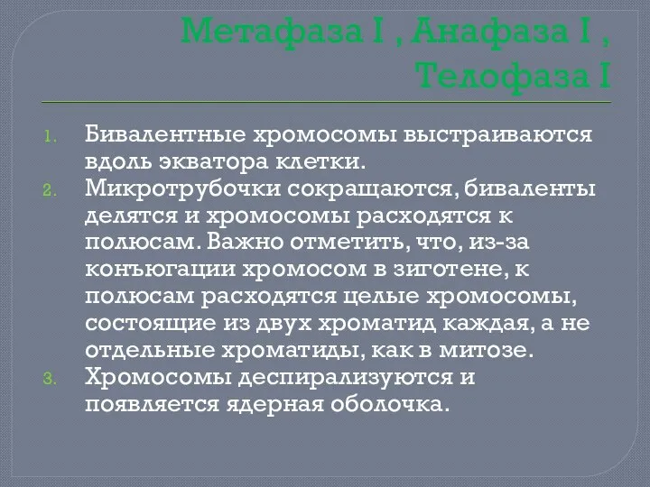 Метафаза I , Анафаза I , Телофаза I Бивалентные хромосомы выстраиваются вдоль