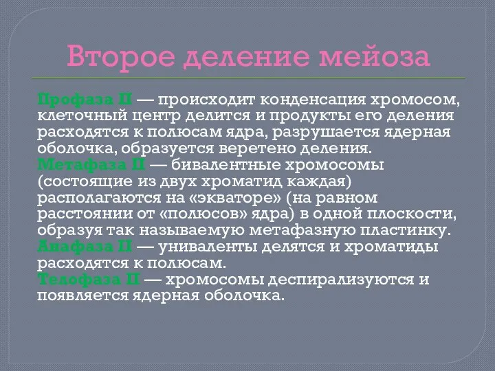 Второе деление мейоза Профаза II — происходит конденсация хромосом, клеточный центр делится