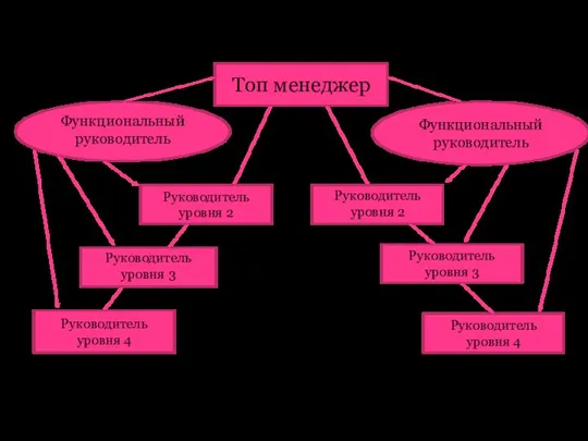 Топ менеджер Функциональный руководитель Функциональный руководитель Руководитель уровня 2 Руководитель уровня 2