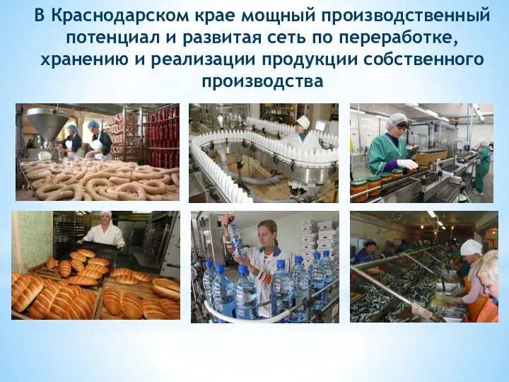 В Краснодарском крае мощный производственный потенциал и развитая сеть по переработке, хранению