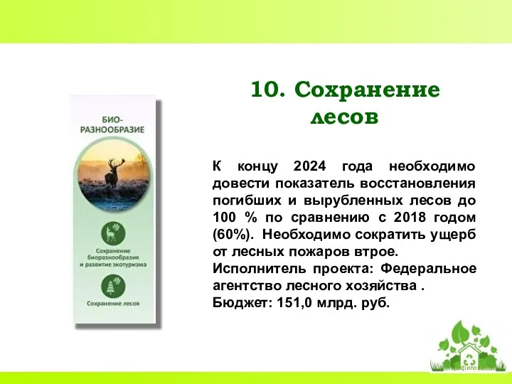 10. Сохранение лесов К концу 2024 года необходимо довести показатель восстановления погибших