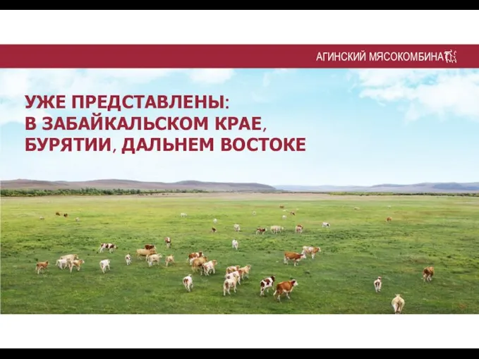 АГИНСКИЙ МЯСОКОМБИНАТ УЖЕ ПРЕДСТАВЛЕНЫ: В ЗАБАЙКАЛЬСКОМ КРАЕ, БУРЯТИИ, ДАЛЬНЕМ ВОСТОКЕ