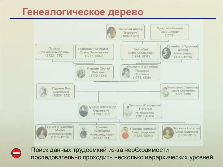 Генеалогическое дерево Поиск данных трудоемкий из-за необходимости последовательно проходить несколько иерархических уровней.