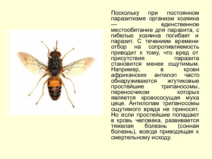 Поскольку при постоянном паразитизме организм хозяина — единственное местообитание для паразита, с