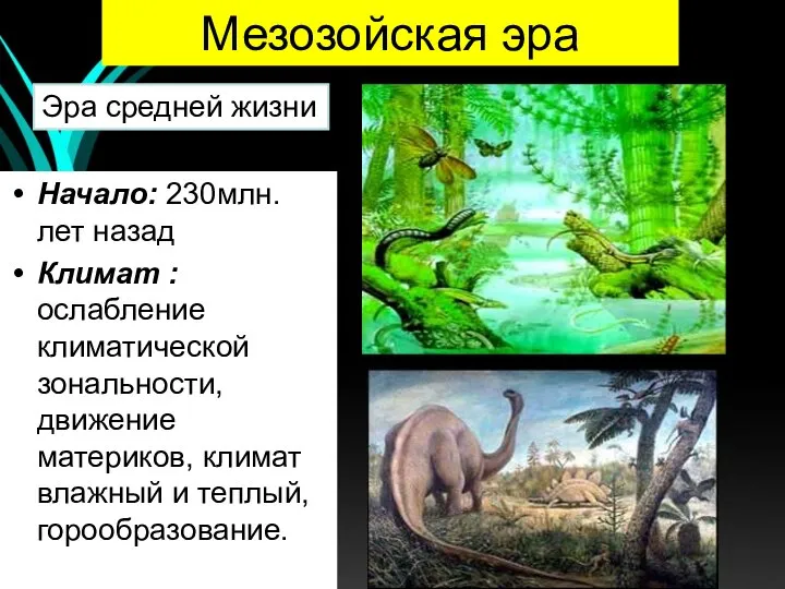 Мезозойская эра Начало: 230млн. лет назад Климат : ослабление климатической зональности, движение