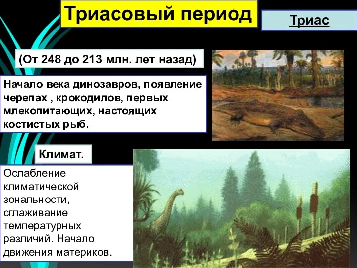 (От 248 до 213 млн. лет назад) Начало века динозавров, появление черепах