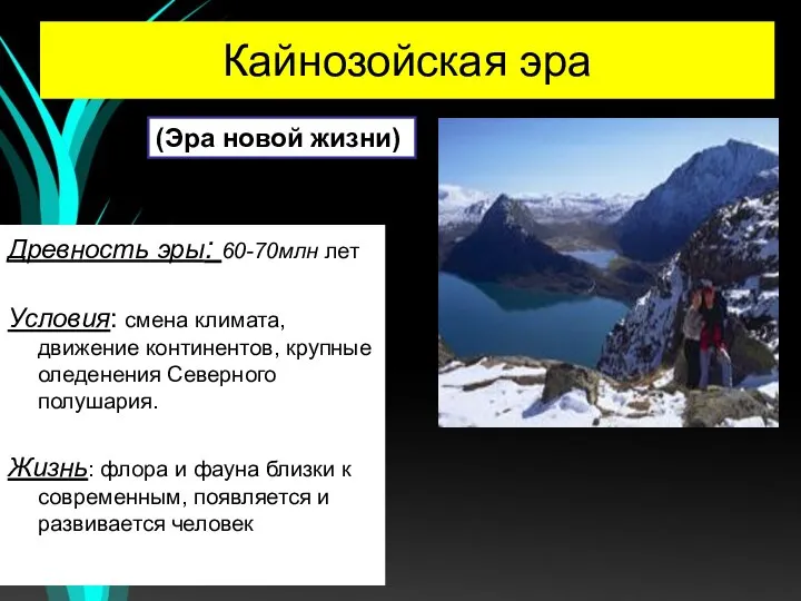 Кайнозойская эра Древность эры: 60-70млн лет Условия: смена климата, движение континентов, крупные