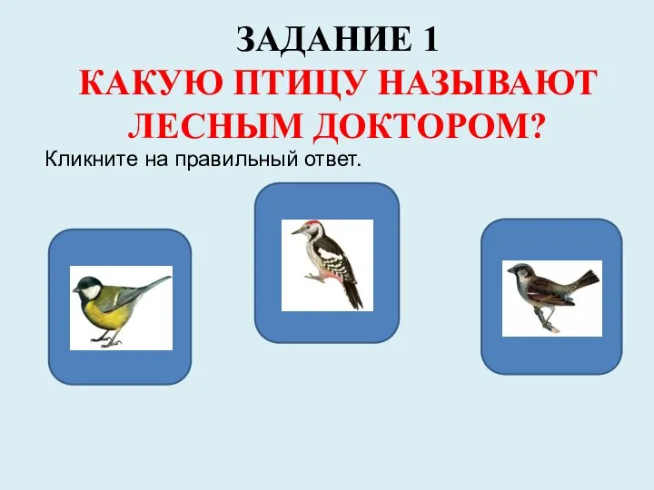 ЗАДАНИЕ 1 КАКУЮ ПТИЦУ НАЗЫВАЮТ ЛЕСНЫМ ДОКТОРОМ? Кликните на правильный ответ. ДА НЕТ НЕТ