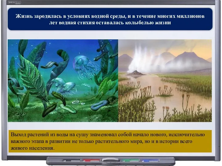 Жизнь зародилась в условиях водной среды, и в течение многих миллионов лет