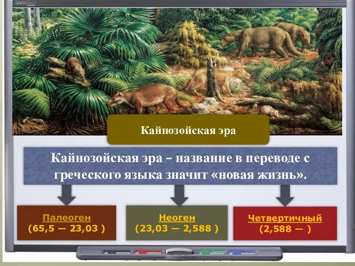 Палеоген (65,5 — 23,03 ) Неоген (23,03 — 2,588 ) Кайнозойская эра