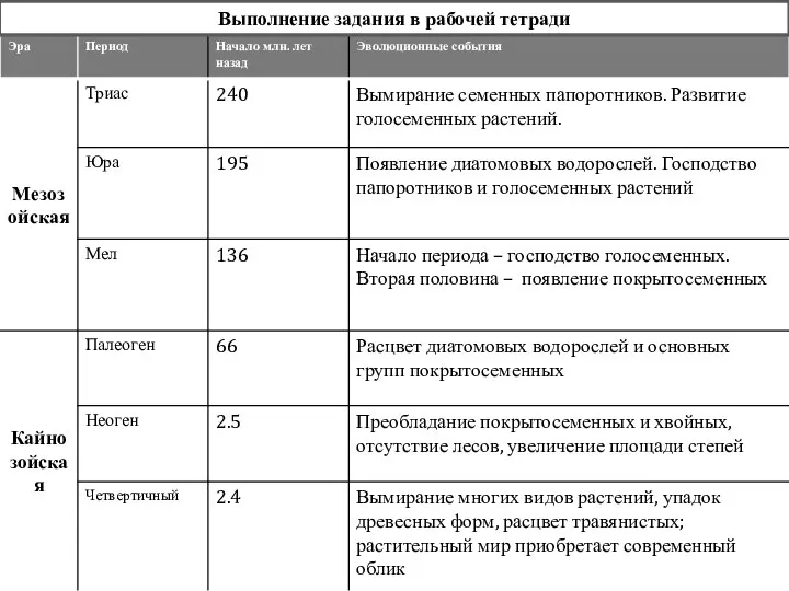 Выполнение задания в рабочей тетради