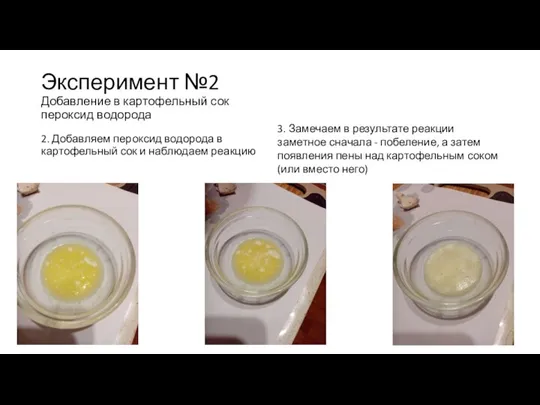 Эксперимент №2 Добавление в картофельный сок пероксид водорода 2. Добавляем пероксид водорода