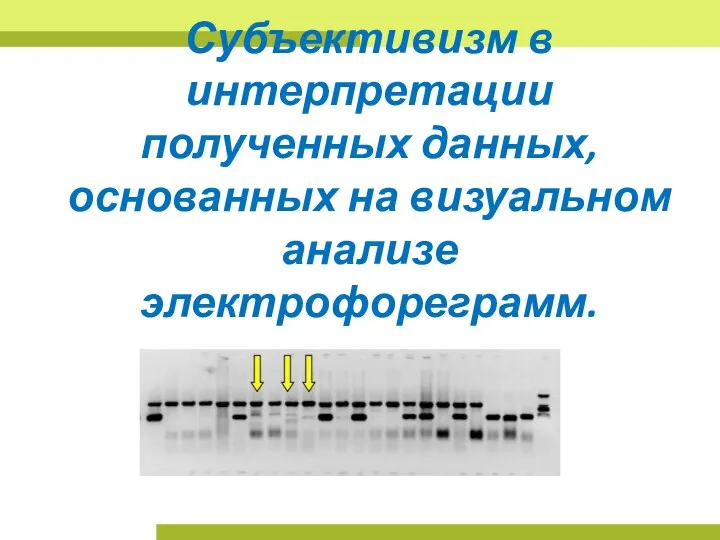 Субъективизм в интерпретации полученных данных, основанных на визуальном анализе электрофореграмм.
