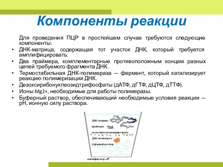 Компоненты реакции Для проведения ПЦР в простейшем случае требуются следующие компоненты: ДНК-матрица,