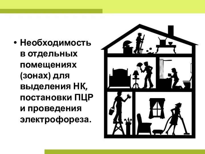 Необходимость в отдельных помещениях (зонах) для выделения НК, постановки ПЦР и проведения электрофореза.