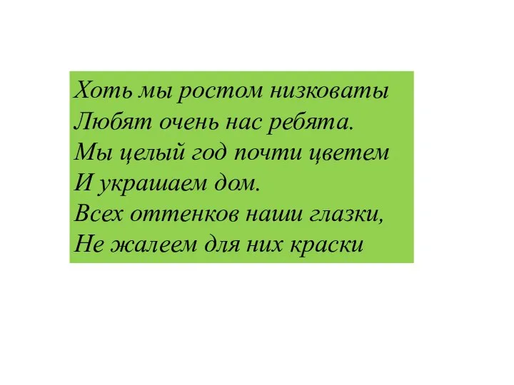 Хоть мы ростом низковаты Любят очень нас ребята. Мы целый год почти