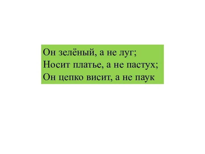 Он зелёный, а не луг; Носит платье, а не пастух; Он цепко висит, а не паук