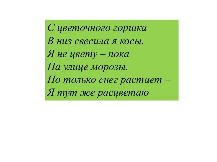 С цветочного горшка В низ свесила я косы. Я не цвету –