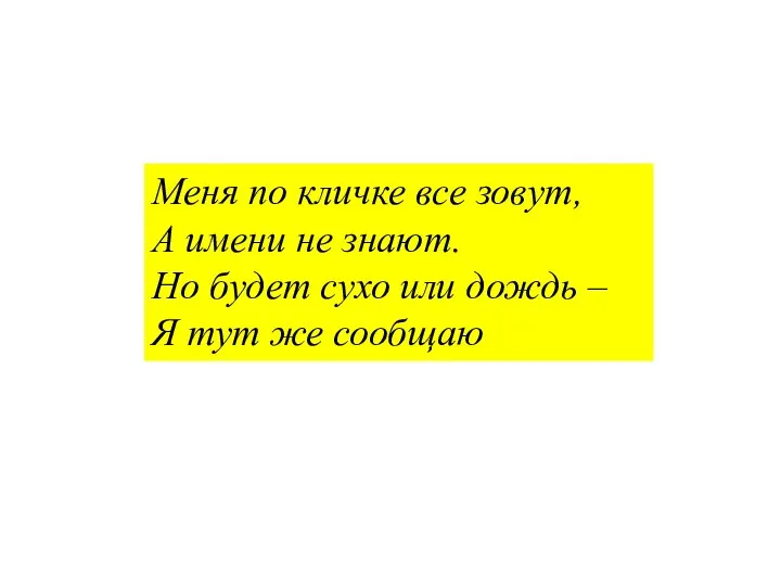 Меня по кличке все зовут, А имени не знают. Но будет сухо