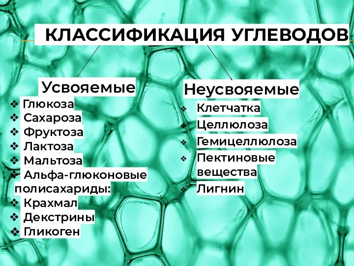 Неусвояемые Клетчатка Целлюлоза Гемицеллюлоза Пектиновые вещества Лигнин Усвояемые Глюкоза Сахароза Фруктоза Лактоза