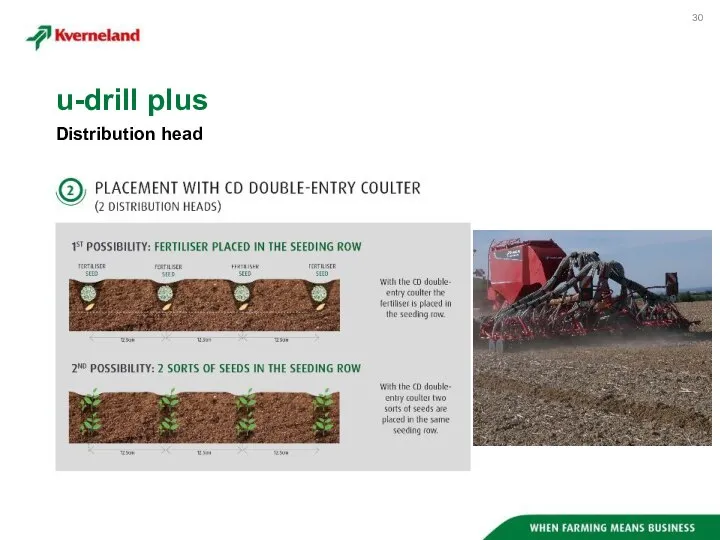 Distribution head u-drill plus