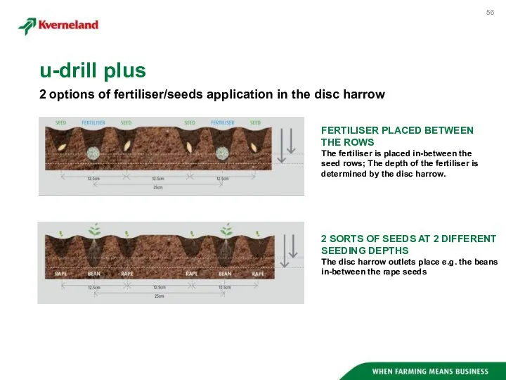2 options of fertiliser/seeds application in the disc harrow u-drill plus FERTILISER