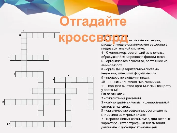 По горизонтали: 1 – биологически активные вещества, расщепляющие органические вещества в пищеварительной