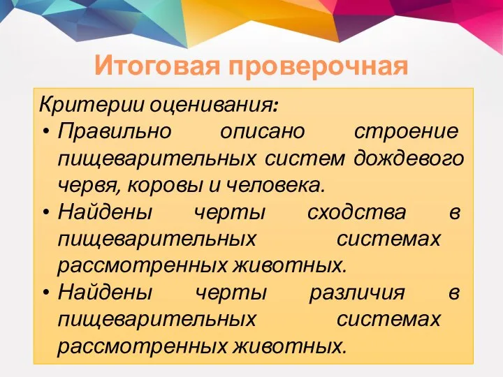 Итоговая проверочная работа Критерии оценивания: Правильно описано строение пищеварительных систем дождевого червя,