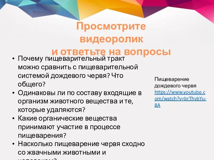 Просмотрите видеоролик и ответьте на вопросы Почему пищеварительный тракт можно сравнить с