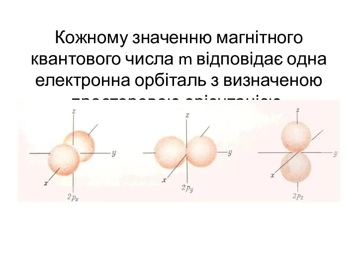 Кожному значенню магнітного квантового числа m відповідає одна електронна орбіталь з визначеною просторовою орієнтацією.