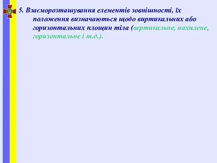 5. Взаєморозташування елементів зовнішності, їх положення визначаються щодо виртикальних або горизонтальних площин