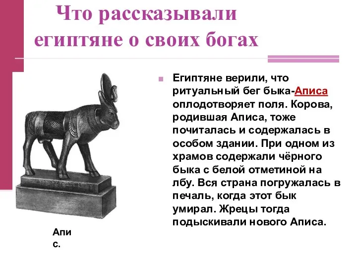 Что рассказывали египтяне о своих богах Египтяне верили, что ритуальный бег быка-Аписа