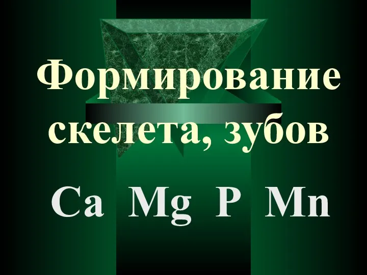 Формирование скелета, зубов Са Мg Р Mn