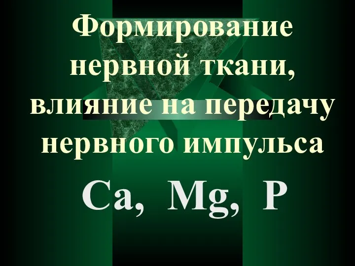 Формирование нервной ткани, влияние на передачу нервного импульса Са, Мg, Р