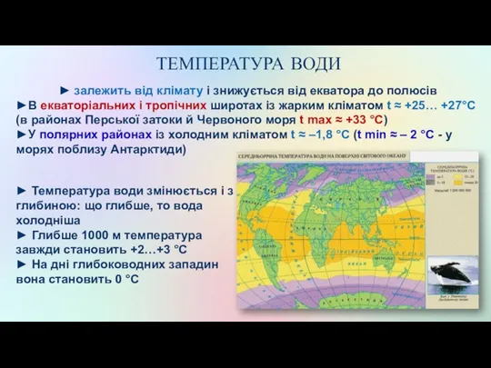 ТЕМПЕРАТУРА ВОДИ ► залежить від клімату і знижується від екватора до полюсів