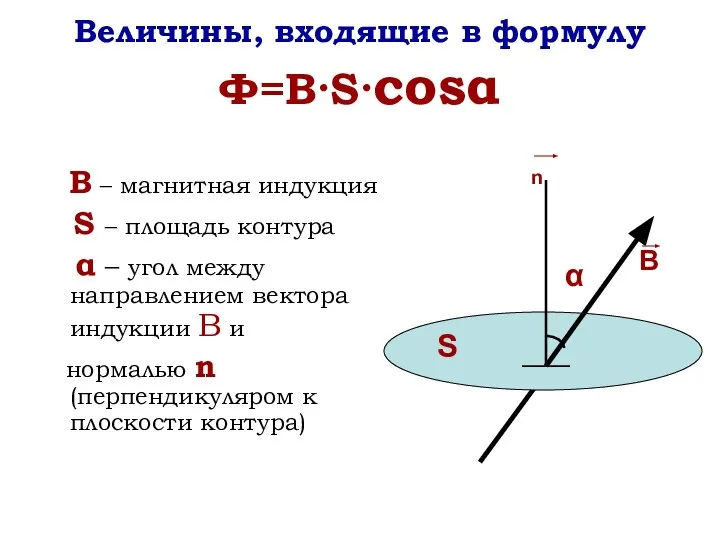 Величины, входящие в формулу Ф=В·S·cosα n В – магнитная индукция S –
