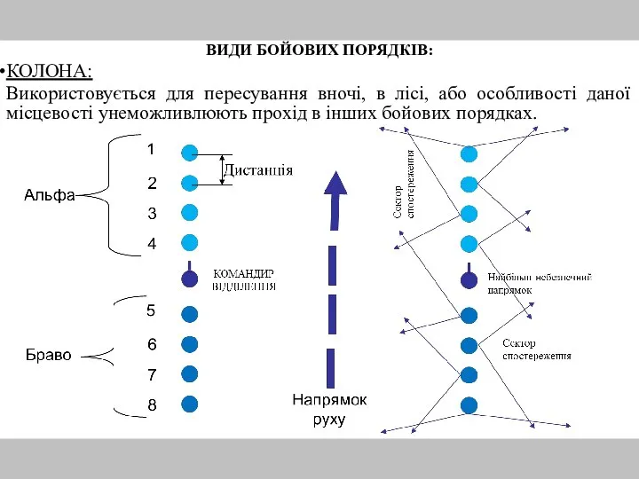 ВИДИ БОЙОВИХ ПОРЯДКІВ: КОЛОНА: Використовується для пересування вночі, в лісі, або особливості