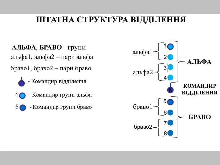 ШТАТНА СТРУКТУРА ВІДДІЛЕННЯ КОМАНДИР ВІДДІЛЕННЯ АЛЬФА БРАВО альфа1 альфа2 браво1 браво2 АЛЬФА,