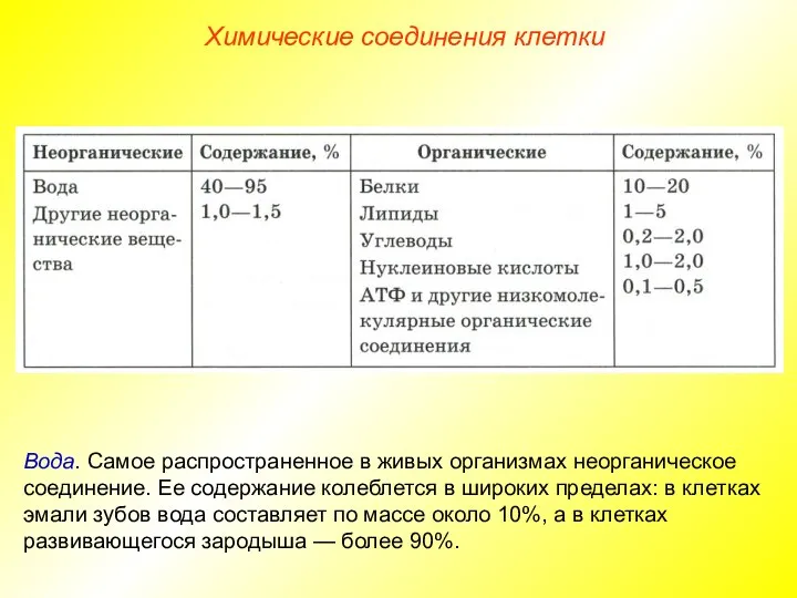 Химические соединения клетки Вода. Самое распространенное в живых организмах неорганическое соединение. Ее