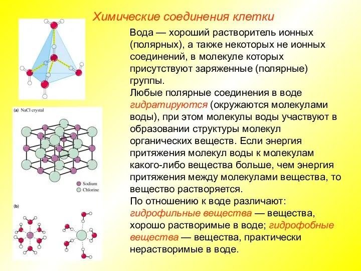 Химические соединения клетки Вода — хороший растворитель ионных (полярных), а также некоторых