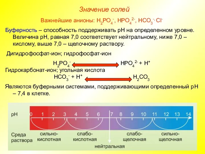 Значение солей Важнейшие анионы: Н2РО4-, НРО42-, НСО3-, Сl- Буферность – способность поддерживать