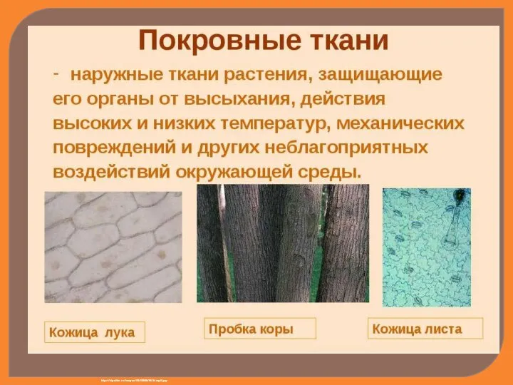 http://bigslide.ru/images/19/18609/960/img9.jpg