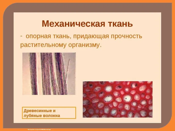 http://bigslide.ru/images/19/18609/960/img10.jpg