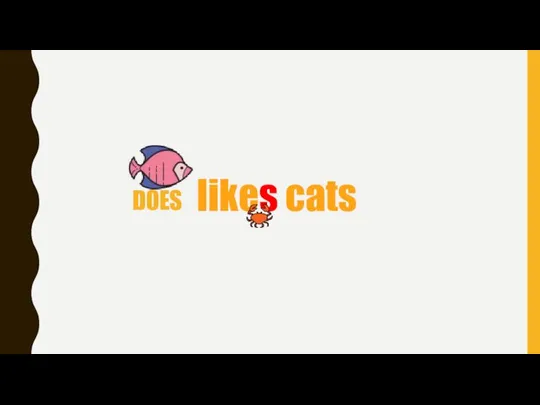 likes cats