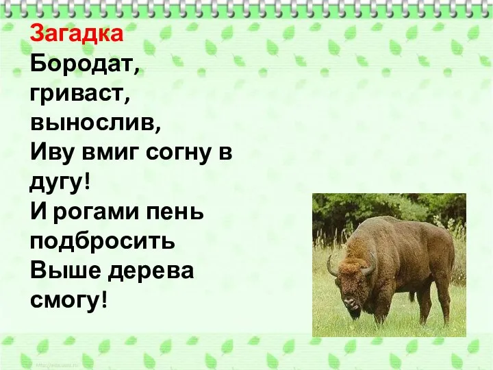 Загадка Бородат, гриваст, вынослив, Иву вмиг согну в дугу! И рогами пень подбросить Выше дерева смогу!