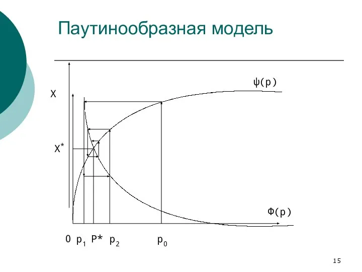 Паутинообразная модель