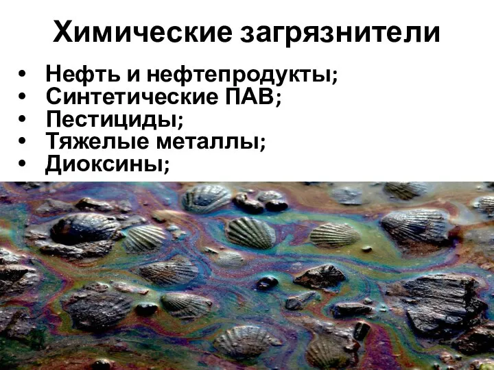 Химические загрязнители Нефть и нефтепродукты; Синтетические ПАВ; Пестициды; Тяжелые металлы; Диоксины;