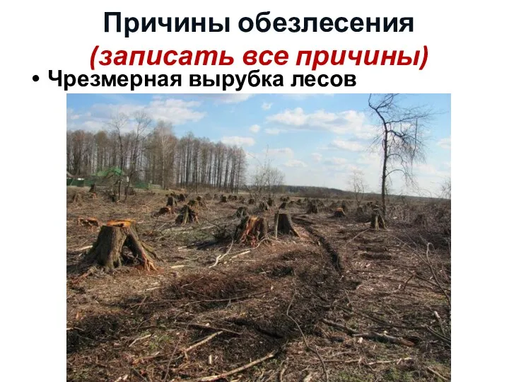 Причины обезлесения (записать все причины) Чрезмерная вырубка лесов