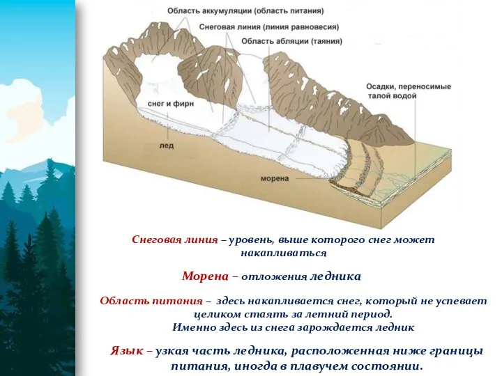 Снеговая линия – уровень, выше которого снег может накапливаться Морена – отложения