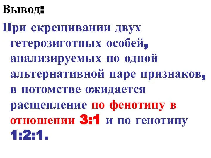 Вывод: При скрещивании двух гетерозиготных особей, анализируемых по одной альтернативной паре признаков,